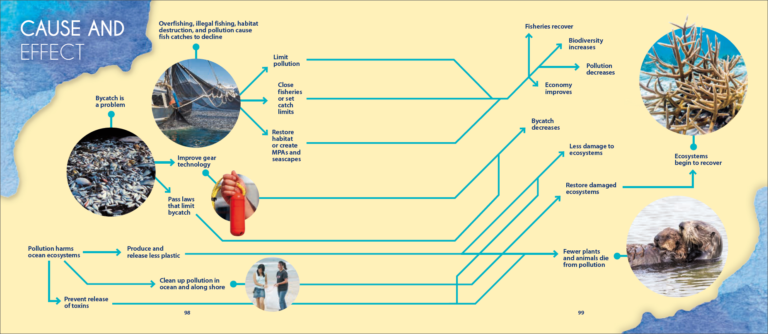 Conservation Success Stories Red Line Editorial